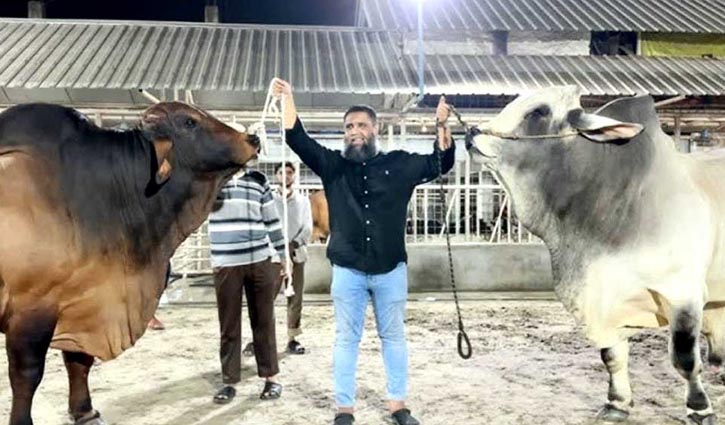 সাদিক এ্যাগ্রোর চেয়ারম্যান ইমরান গ্রেপ্তার