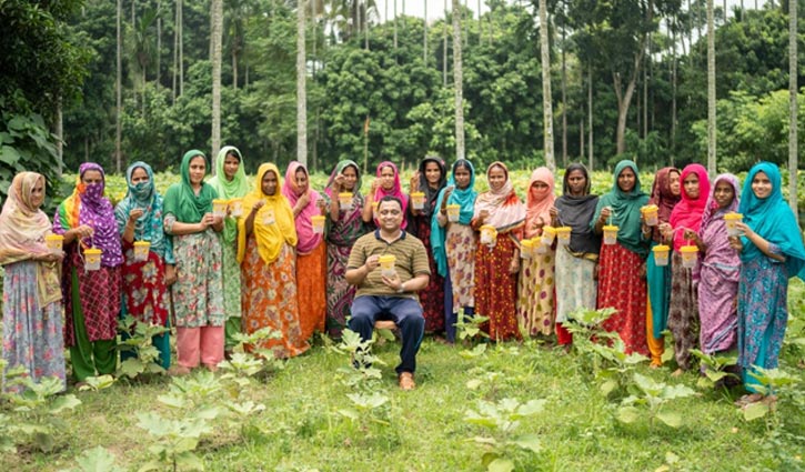 ফলের মাছি পোকা দমনে বাকৃবি গবেষকের নতুন প্রযুক্তি
