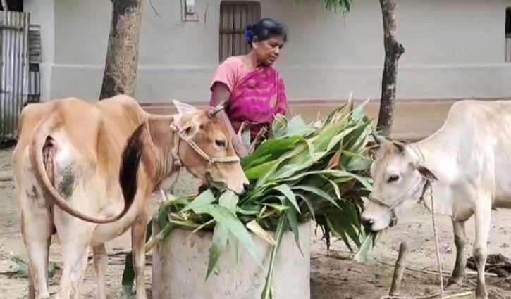 নারী শ্রমিকেরা পাচ্ছেন না সমান মজুরি