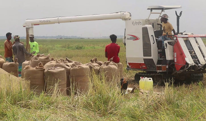 Paddy cutting machine drives farmers to change their profession