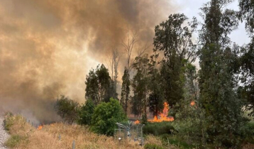 Jerusalem wildfires fully contained, no lives lost
