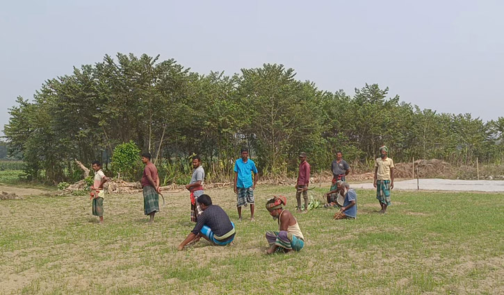 কৃষকের আতঙ্ক ‘খোরশেদের জঙ্গল’