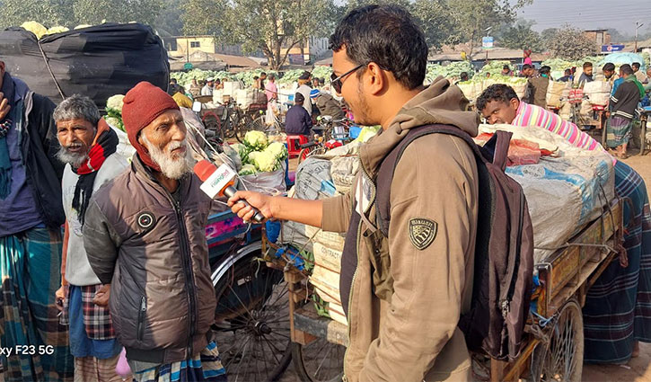 ফুলকপির দামে ধস, কতটা ক্ষতিগ্রস্ত কৃষক?