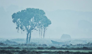 ঘন কুয়াশা ও তীব্র শীতে বিপর্যস্ত জনজীবন