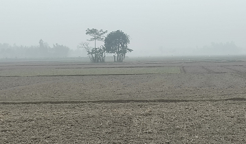 কনকনে শীতে জবুথবু পঞ্চগড়