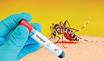 First dengue death reported this year