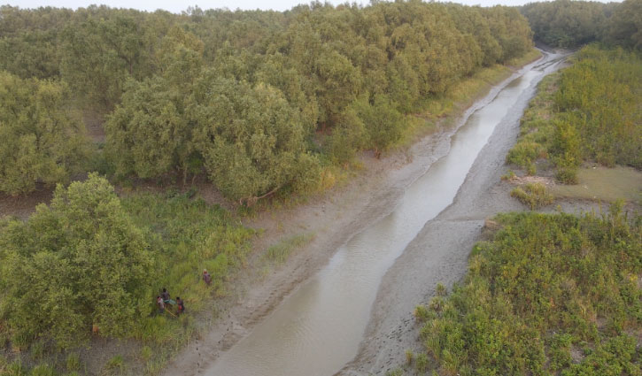 2-month ban on crab netting in Sundarbans