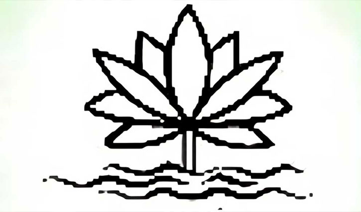 শাপলা প্রতীক হিসেবে কেউ পাবে না: সিইসি