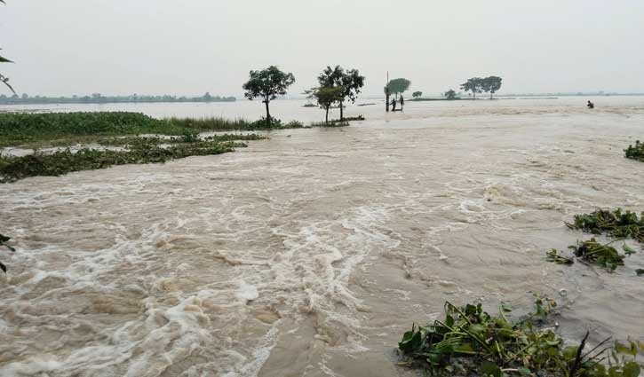 চাঁপাইনবাবগঞ্জে অতিবৃষ্টিতে ১৩শ বিঘা ফসলের ক্ষতি