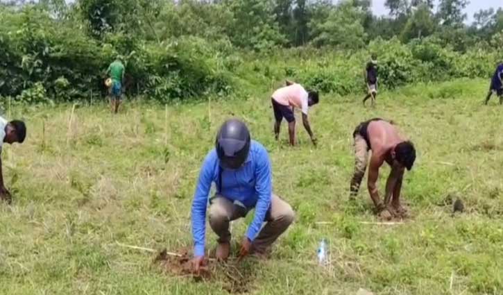 দিনাজপুরে ৮ একর জমি দখলমুক্ত করে বৃক্ষরোপণ