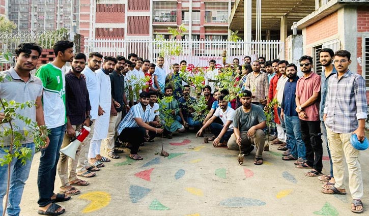 জুলাই শহীদদের স্মরণে জাবি ছাত্রদলের বৃক্ষরোপণ