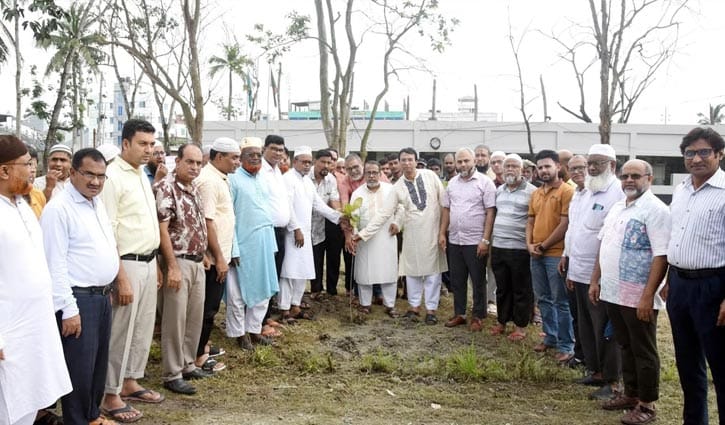 খুবিতে শহীদ মীর মুগ্ধ স্মরণে বৃক্ষরোপণ কর্মসূচি