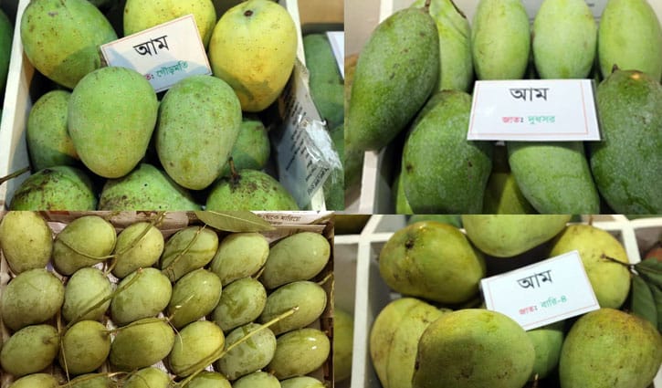 আম রপ্তানিতে নতুন সম্ভাবনা 