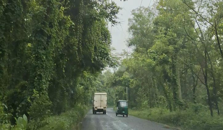 কালিয়াকৈর-মাওনা সড়ক যেন মৃত্যুফাঁদ 