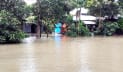 নিম্নচাপের প্রভাবে ভোলায় ৩০ গ্রাম প্লাবিত