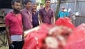 গরু চোর-কসাই গ্রেপ্তার, মাংস মিললো ফ্রিজে 