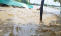 বৃষ্টি নেই, তবুও ফের পানিতে ডুবছে ফেনী