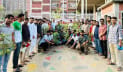 জুলাই শহীদদের স্মরণে জাবি ছাত্রদলের বৃক্ষরোপণ