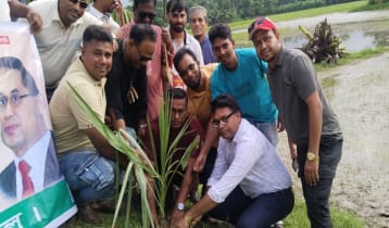 শতাধিক বাবুই পাখির ছানা হত্যার স্থানে তাল গাছের চারা রোপণ