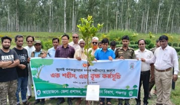 পঞ্চগড়ের পাঁচ শহীদের নামে বৃক্ষ রোপণ 