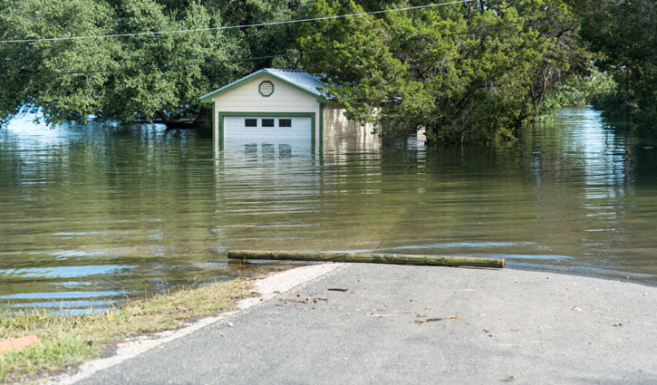 টেক্সাসে আকস্মিক বন্যায় ২৪ জন নিহত, নিখোঁজ ২৫ শিশু