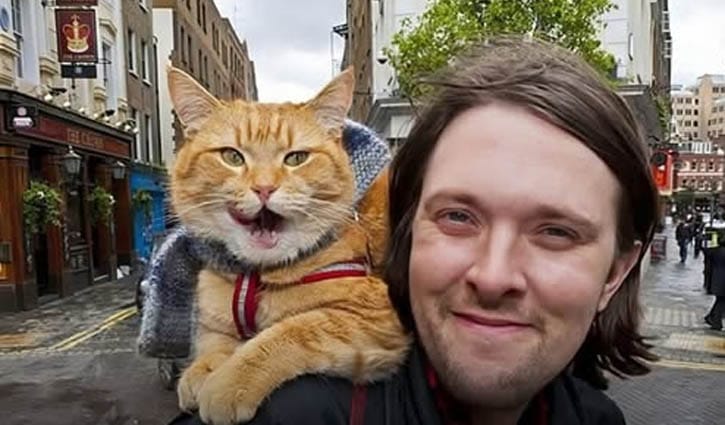 মাদকাসক্ত বোয়েনকে স্বাভাবিক জীবনে ফিরিয়ে এনেছিলো যে বিড়াল