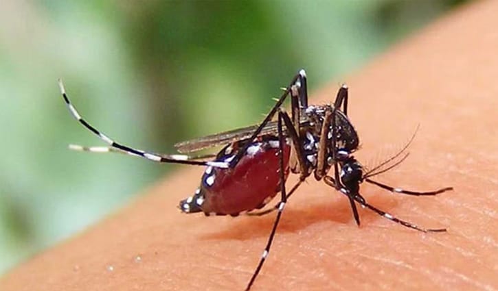 ডেঙ্গু: এ বছর আক্রান্ত ছাড়াল ২০ হাজার, মৃত্যু ৭৯