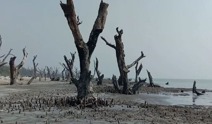 Climate change erodes Kuakata’s coastal green belt, threatening biodiversity Climate change erodes Kuakata’s coastal green belt, threatening biodiversity