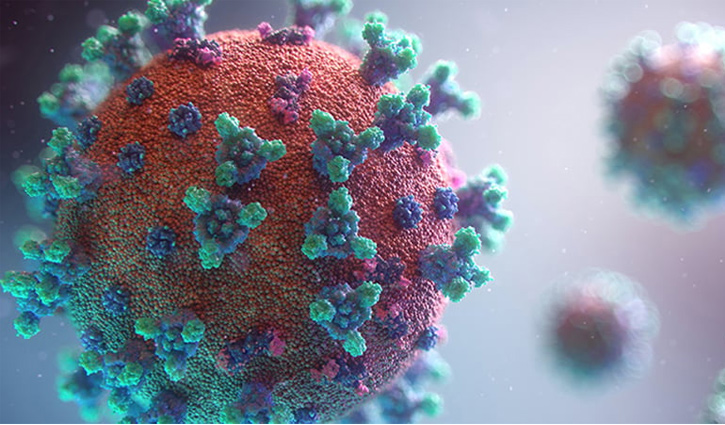 COVID-19: Six new cases reported in 24 hours