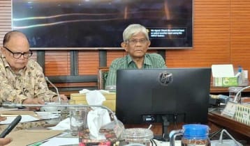 Independent power plant deals to be reviewed: Finance Adviser