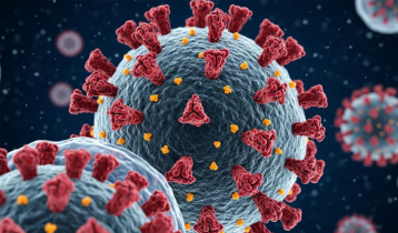 3 new COVID-19 cases reported in 24 hrs