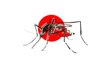 Dengue: 138 fresh cases recorded in past 24 hours