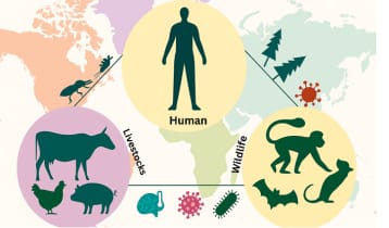 Unite multi–and Trans–disciplinary stakeholders to combat against Zoonoses