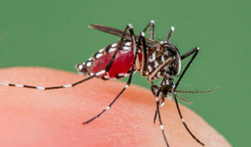 Dengue claims 1 more life; 420 hospitalized in 24hrs