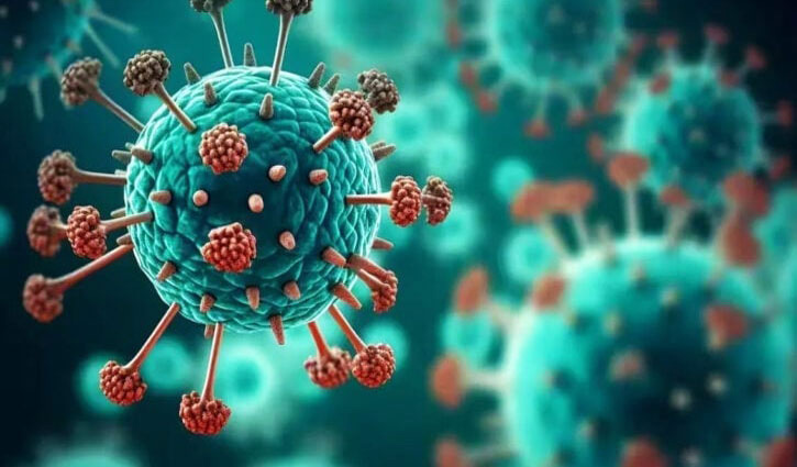 14 more Covid-19 cases in 24hrs