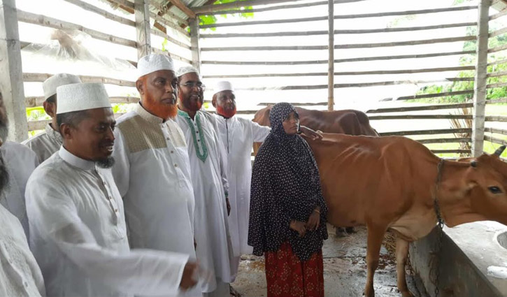 সেই আছিয়ার পরিবারকে গরু ও গোয়াল দিল জামায়াত