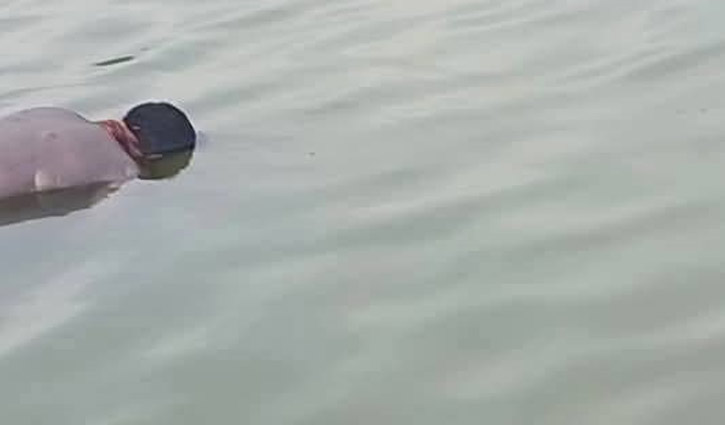 মাগুরায় মাছ ধরাকে কেন্দ্র করে সংঘর্ষ, জেলের মরদেহ উদ্ধার