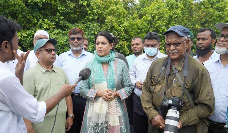 দ্রুতই পূর্বাচলে বনাঞ্চলের সীমানা চিহ্নিত করা হবে : উপদেষ্টা দ্রুতই পূর্বাচলে বনাঞ্চলের সীমানা চিহ্নিত করা হবে : উপদেষ্টা