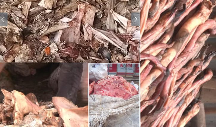 ফেলে দেওয়া পশুর হাড়-শিংয়ে শত কোটি টাকার রপ্তানি বাণিজ্য