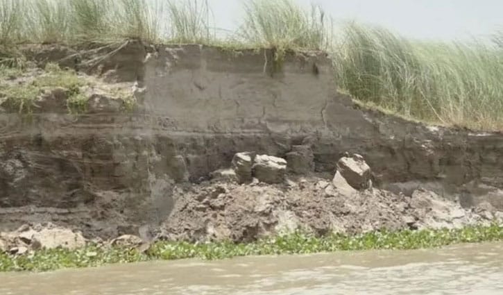 ভেড়ামারার পদ্মায় তীব্র ভাঙন, আতঙ্কে নদী পাড়ের মানুষ