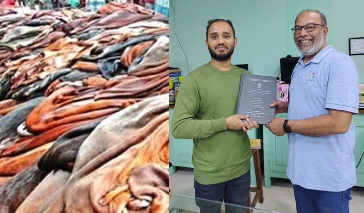 লবণ ছাড়াই কম খরচে চামড়া সংরক্ষণে রাবির গবেষকদের সাফল্য লবণ ছাড়াই কম খরচে চামড়া সংরক্ষণে রাবির গবেষকদের সাফল্য