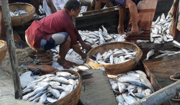 সরগরম বাগেরহাটের মাছবাজার