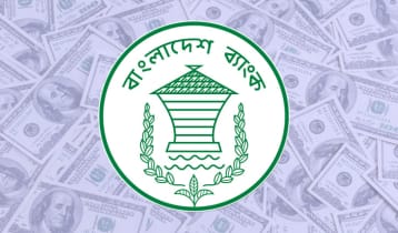 দেশে ১৪ দিনে এল ১১৪ কোটি ডলার রেমিট্যান্স দেশে ১৪ দিনে এল ১১৪ কোটি ডলার রেমিট্যান্স
