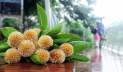 আষাঢ়ের প্রথম দিন আজ