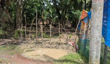 লক্ষ্মীপুরে রাস্তায় বাঁশের বেড়া, গৃহবন্দি ৩৫ পরিবার