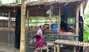 মুরগির শেডে হাঁস পালনে সফল কামরুন নাহার