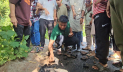 টানলেই উঠছে কার্পেটিং, রাস্তায় নিম্নমানের কাজ বন্ধ করালেন হাসনাত আব্দুল্লাহ