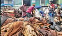 সমন্বয়ের অভাবে চামড়া শিল্পে বড় ক্ষতি
