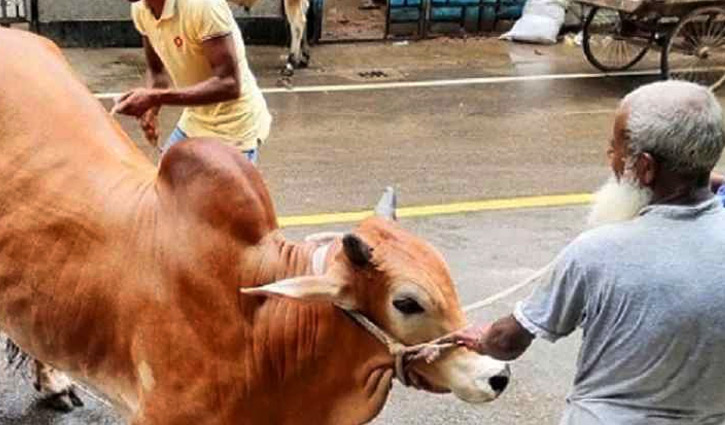 যেভাবে কোরবানি করতে হবে যেভাবে কোরবানি করতে হবে