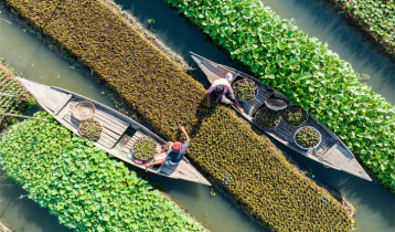 Climate change in Bangladesh: Reality, impacts and solutions